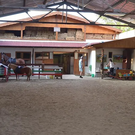 Rekar Hostel *